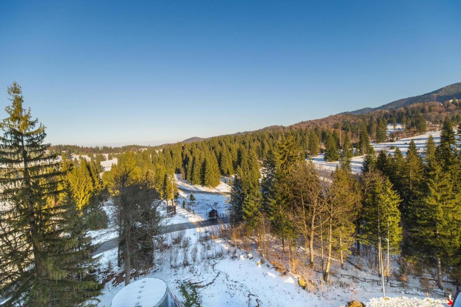 Pine Woods Apartment A43 In Silver Mountain ポイアナ・ブラショフ エクステリア 写真